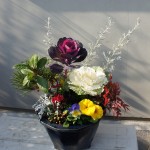 寄せ植え2